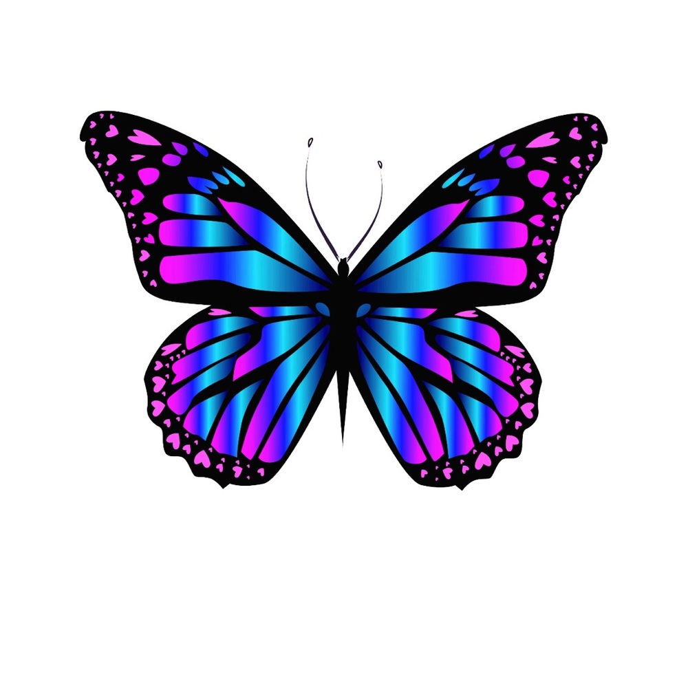 Meet your Posher, Devorah